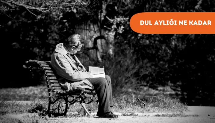 Dul Aylığı Ne Kadar 2024 1 dul aylığı ne kadar