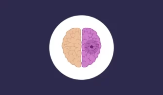 Epilepsi İçin Hangi Oranda Engelli Raporu Verilir?