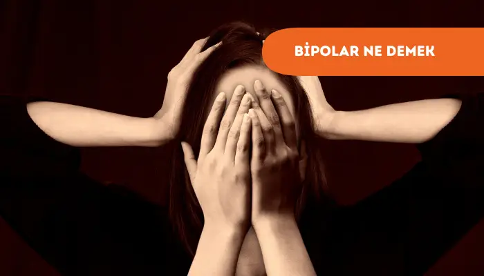 bipolar ne demek